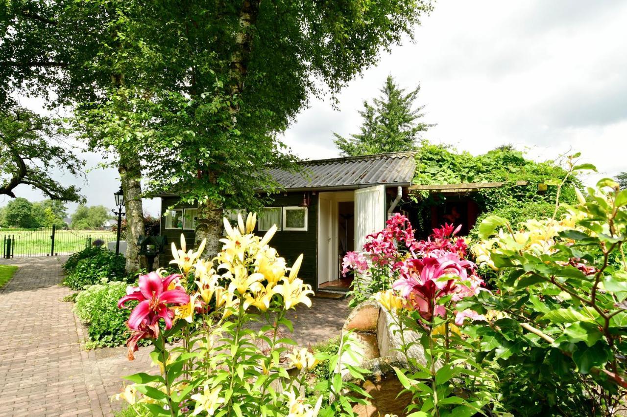 De Veldeling Bed & Breakfast Hollandscheveld Exterior photo