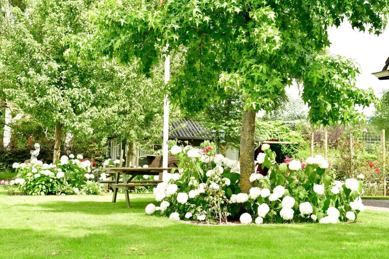 De Veldeling Bed & Breakfast Hollandscheveld Exterior photo