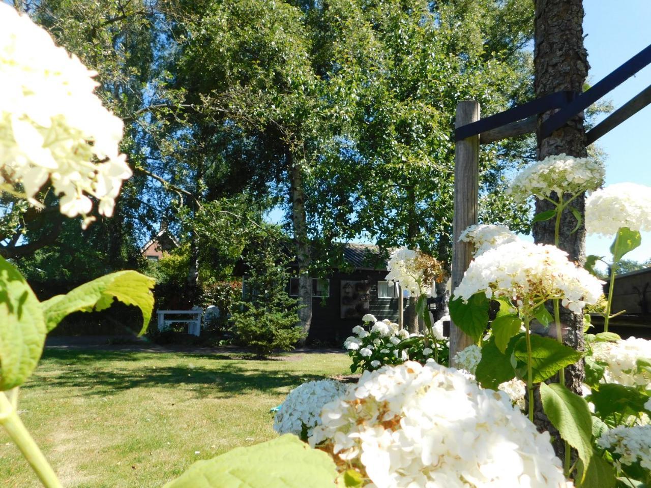 De Veldeling Bed & Breakfast Hollandscheveld Exterior photo