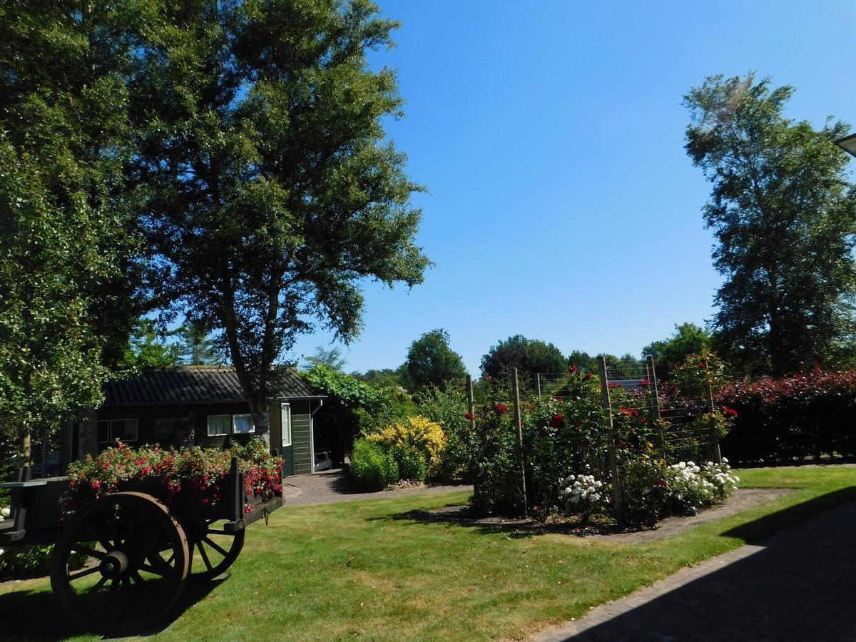 De Veldeling Bed & Breakfast Hollandscheveld Exterior photo